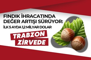 FINDIK İHRACATINDA DEĞER ARTIŞI SÜRÜYOR